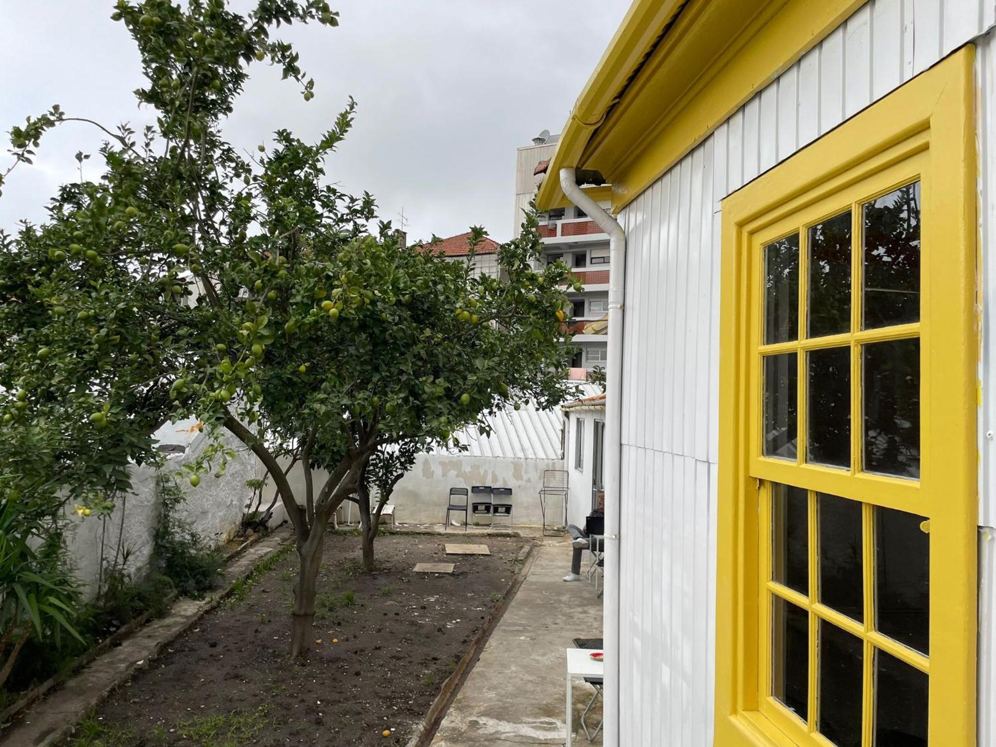 Owls Hostel Ildefonso Porto Kültér fotó